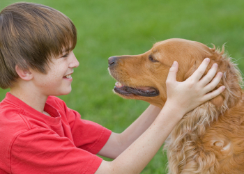 The Health and Mood-Boosting Benefits of Pets