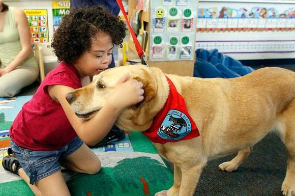 Dogs for store special needs child