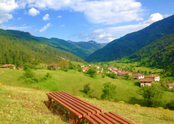 ЗДРАВОСЛОВЕН  ЖИВОТ